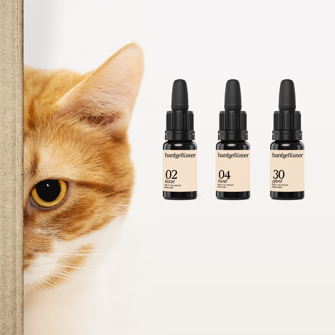Welche Wirkung hat CBD Öl auf Tiere?