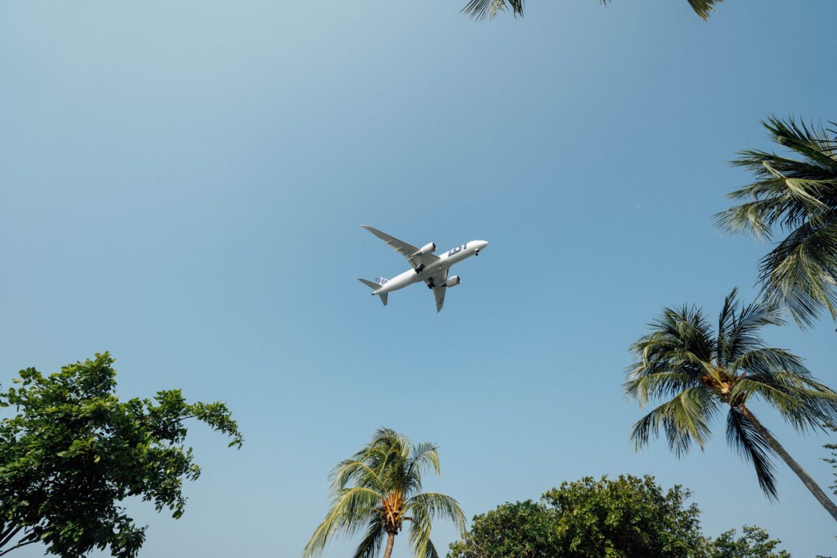 Flugzeug und Palmen