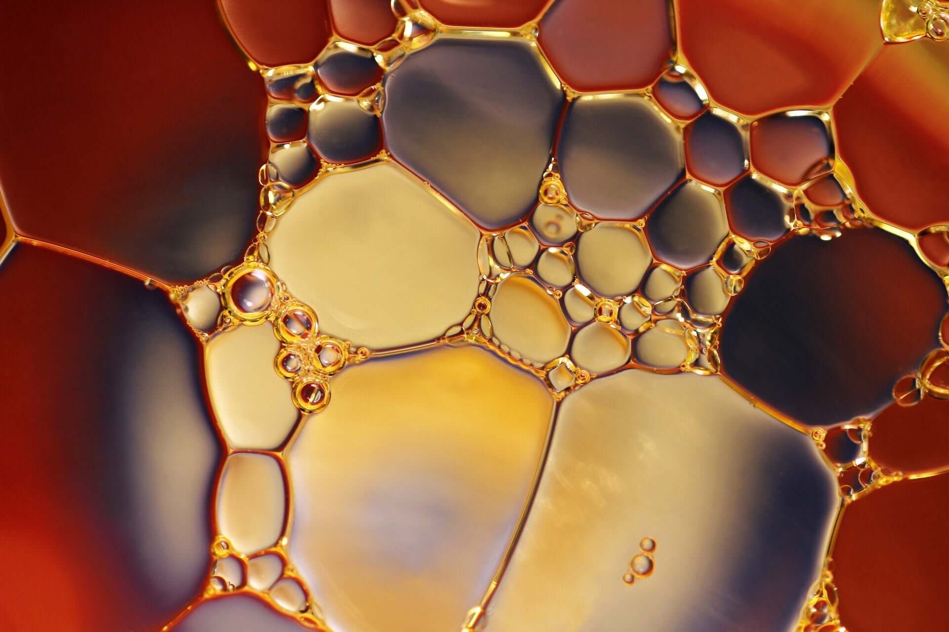 CBD l Haltbarkeit  Dauer, Lagerung & Risiken erklrt