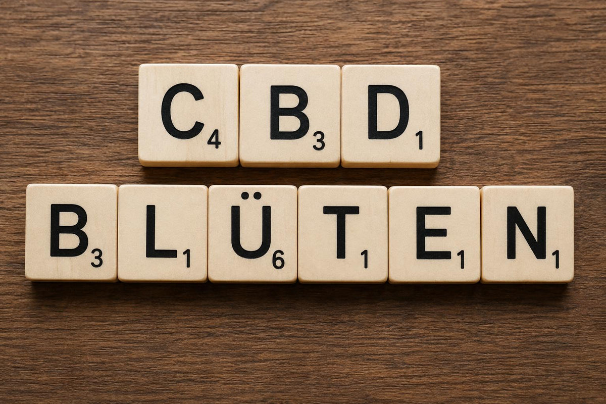 CBD Blüten: Wirkung, Anwendung & Risiken