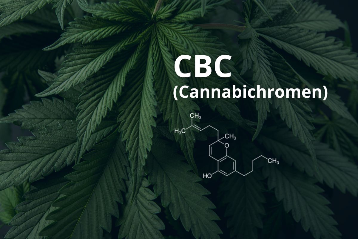 CBC (Cannabichromen)
