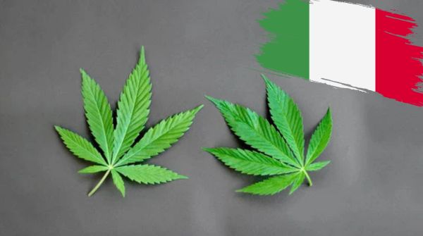CBD in Italien