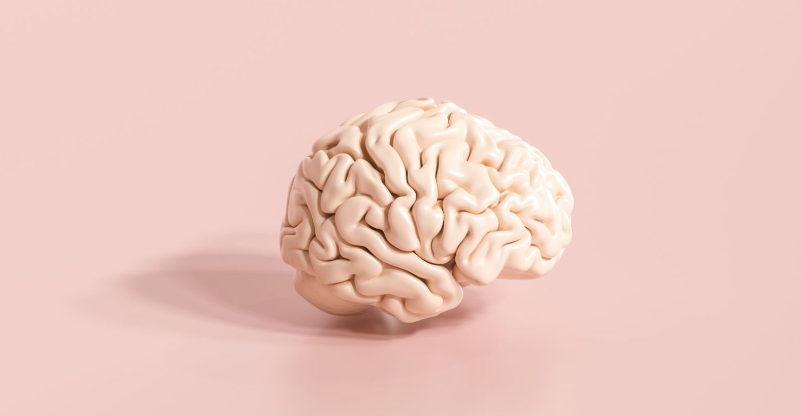 CBD Wirkung Gehirn - Wie beeinflusst CBD unser Gehirn?