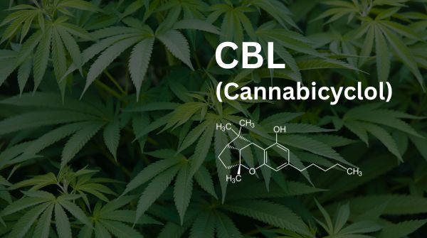 CBL: Cannabicyclol und die Grenzen der bisherigen Forschung