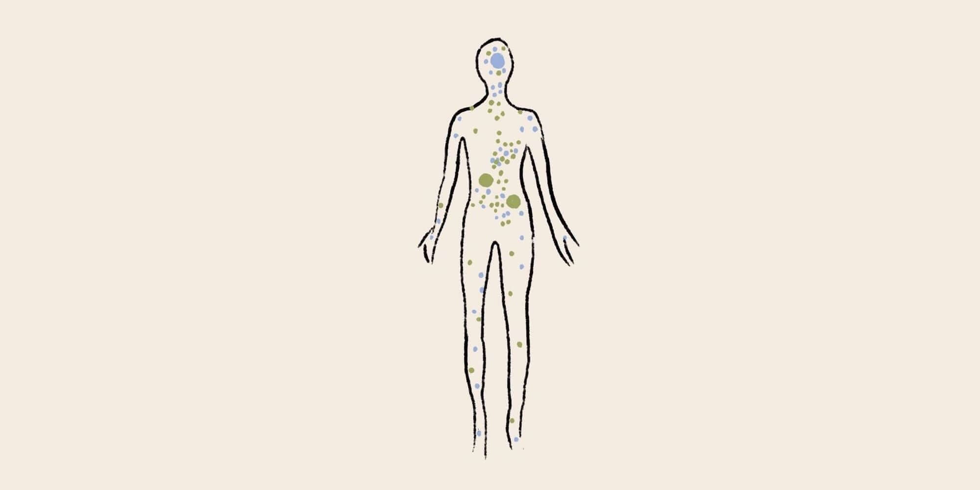 Endocannabinoid System Graphik