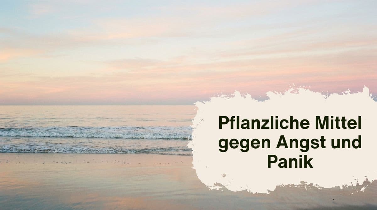 Pflanzliche Mittel gegen Angst und Panik