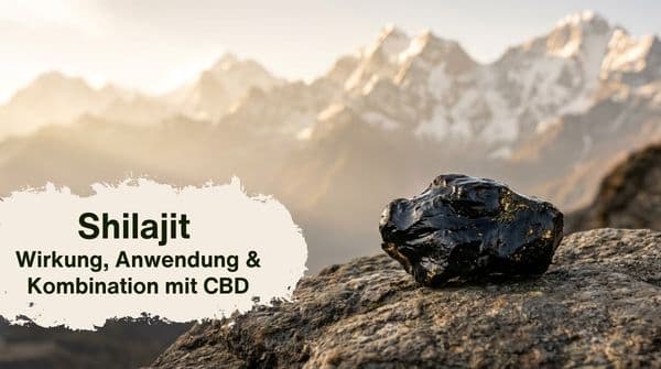 Wirkung, Anwendung & Kombination mit CBD
